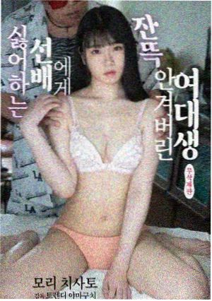 回声档案第二季剧集封面